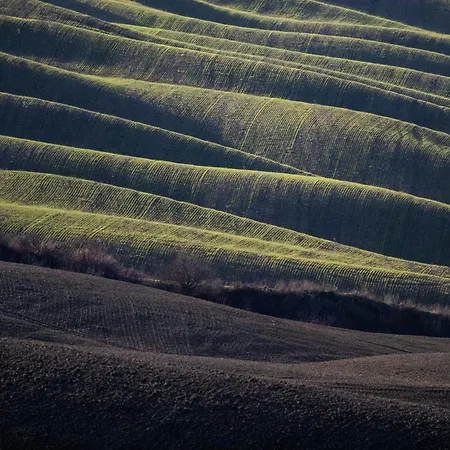 Podere Fossaccio Casa Biancospino Asciano