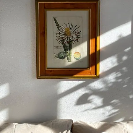 Casa vacanze Podere Fossaccio Casa Biancospino